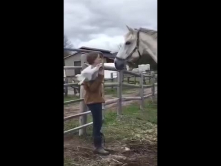 how to surprise a horse